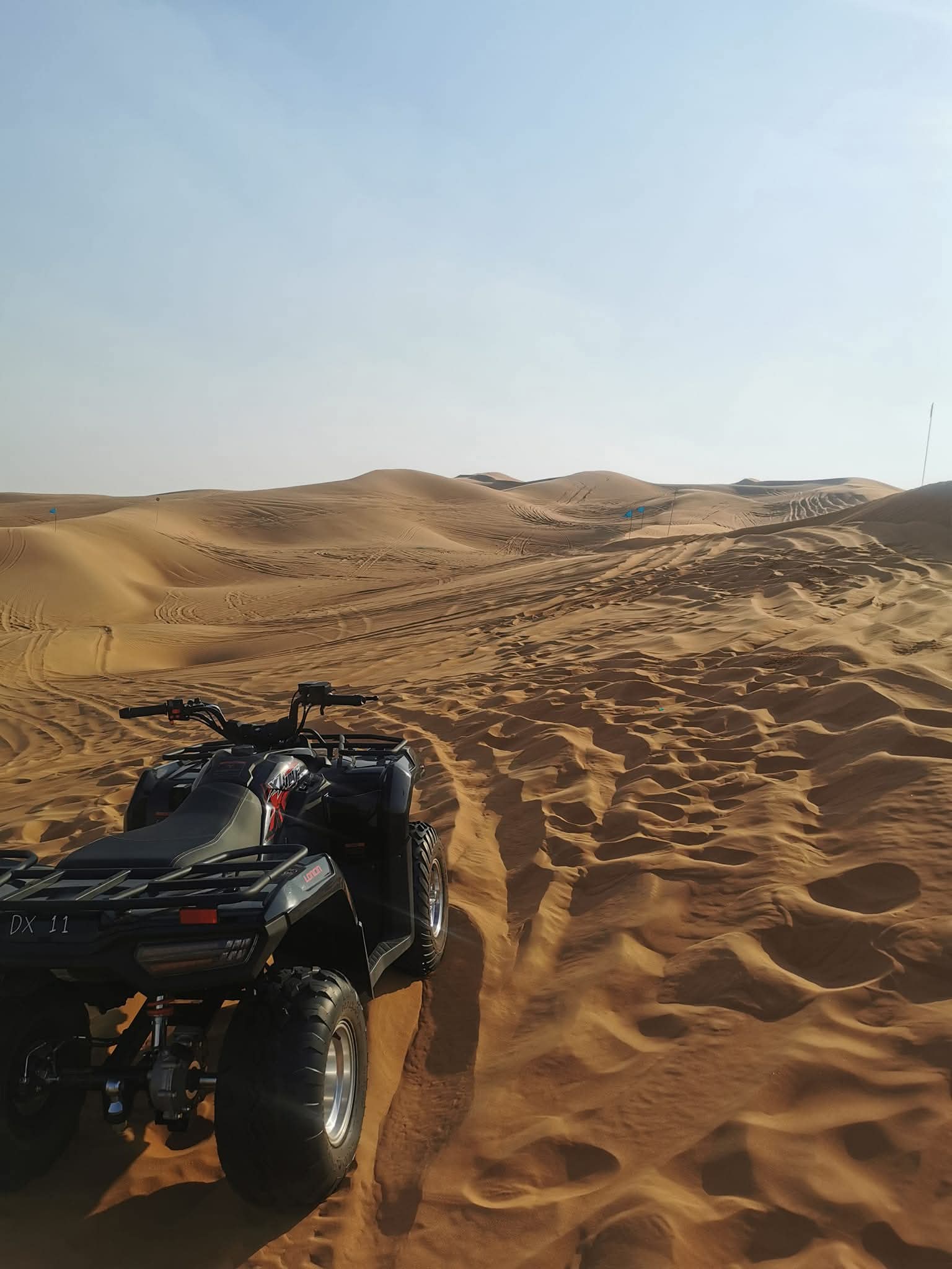Desert Dunes & Dreamy Nights: The Wild Ride That Made My Husband Say ‘Best Trip Ever’