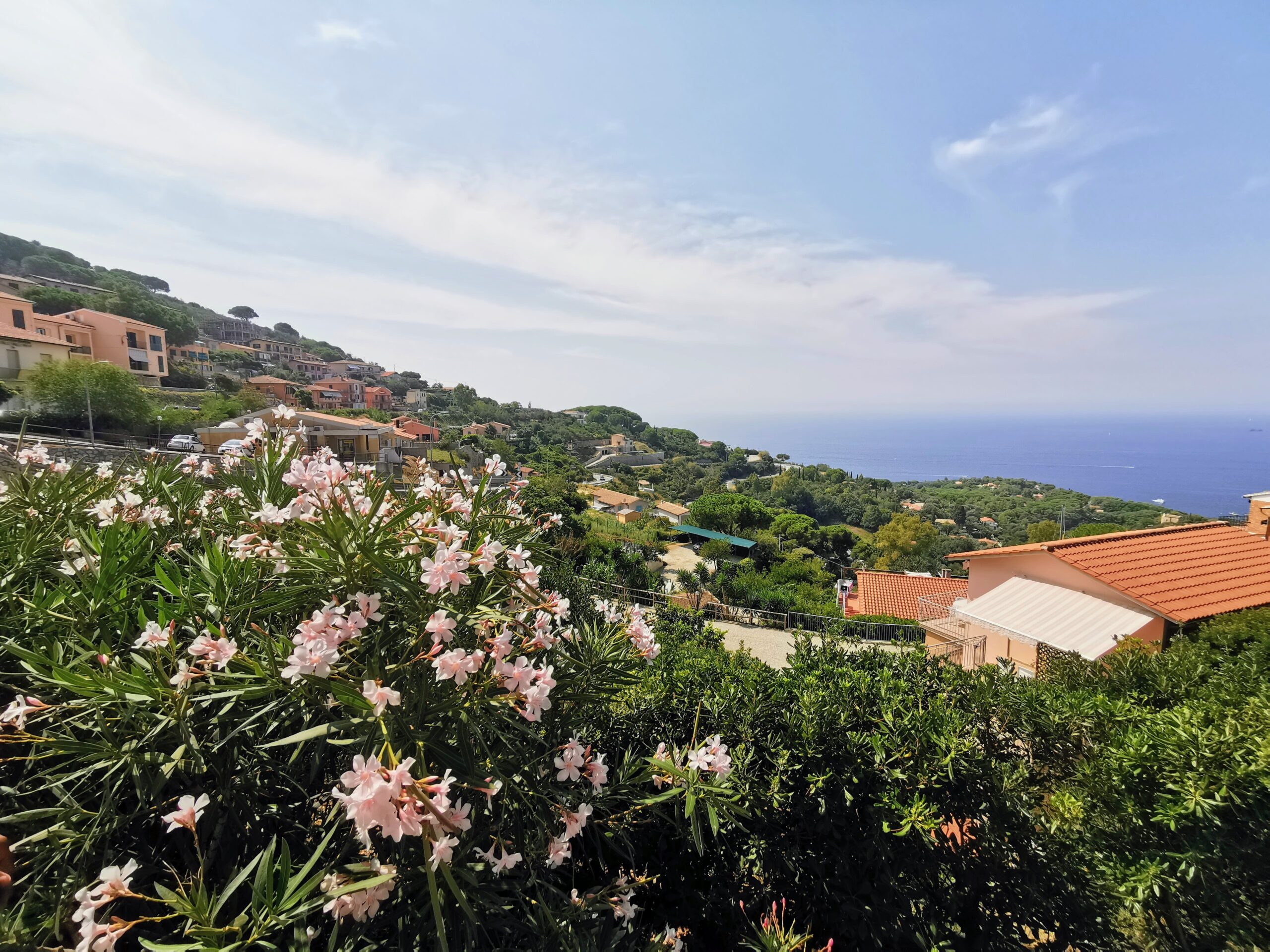 🏝️ Elba Island Day Trip from Tuscany – The Hidden Gem That Stole Our Hearts (from our Tuscany trip)