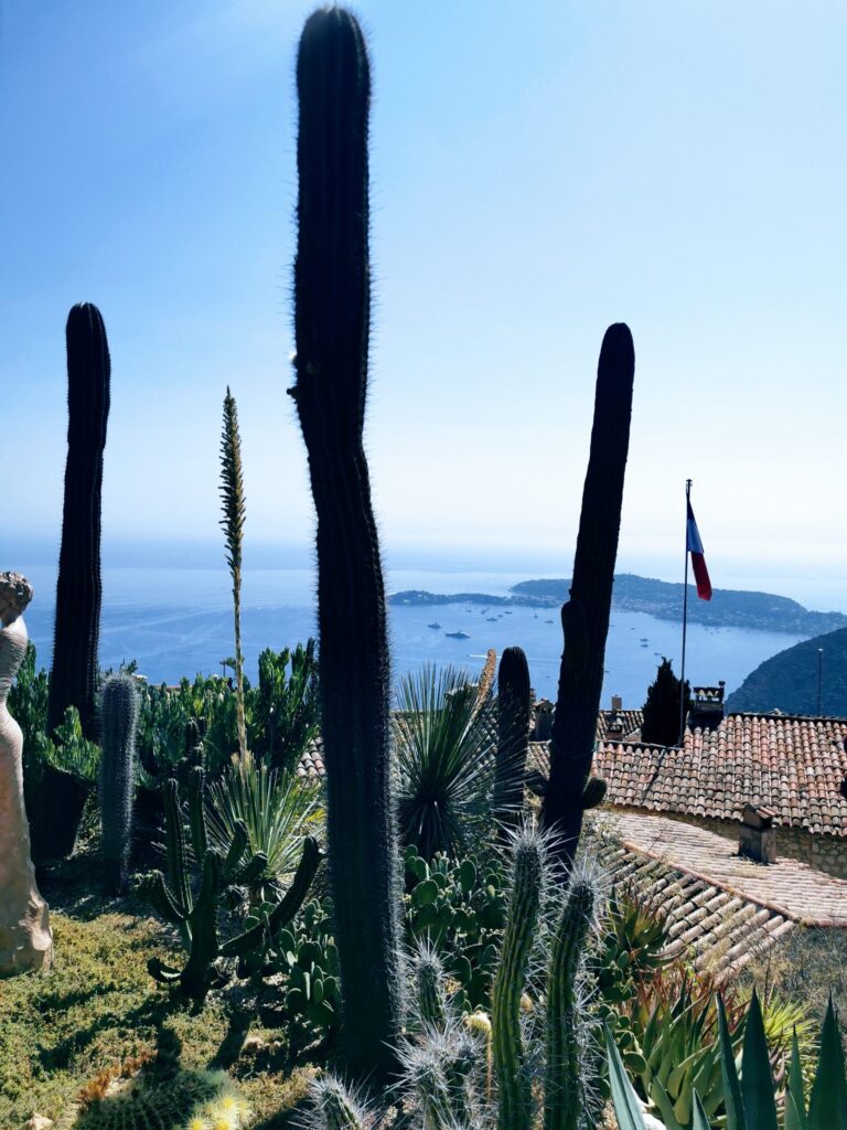 Cactus garden at Jardin Exotique overlooking the French Riviera in Èze village