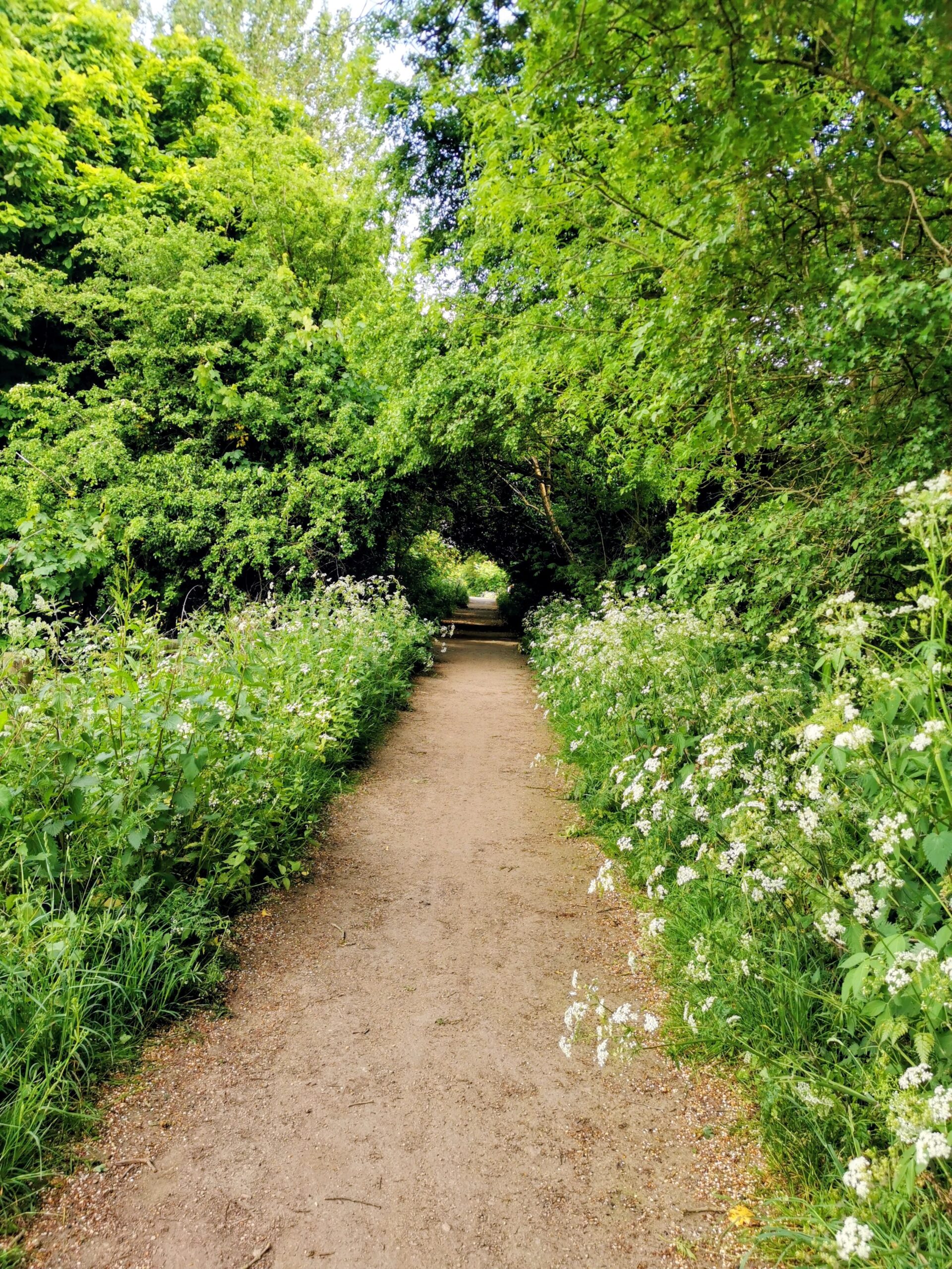 The Walk That Brought Me Back to Myself | Walking to Clear Your Mind
