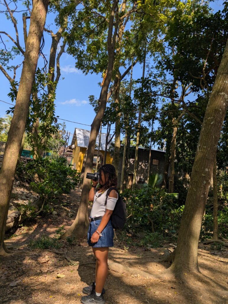 Young woman taking photographs with her camera among the trees in Bali.
